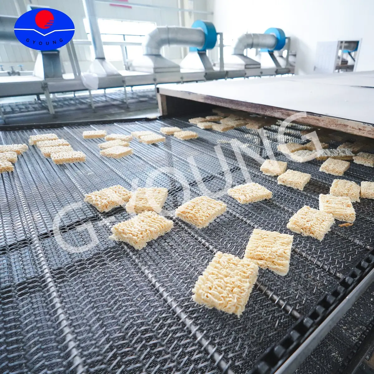 How to start an instant noodle factory from scratch - complete guide