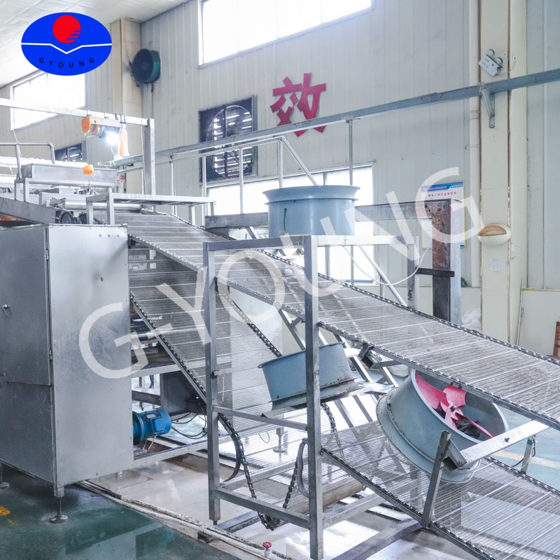 Cutting and dividing machine