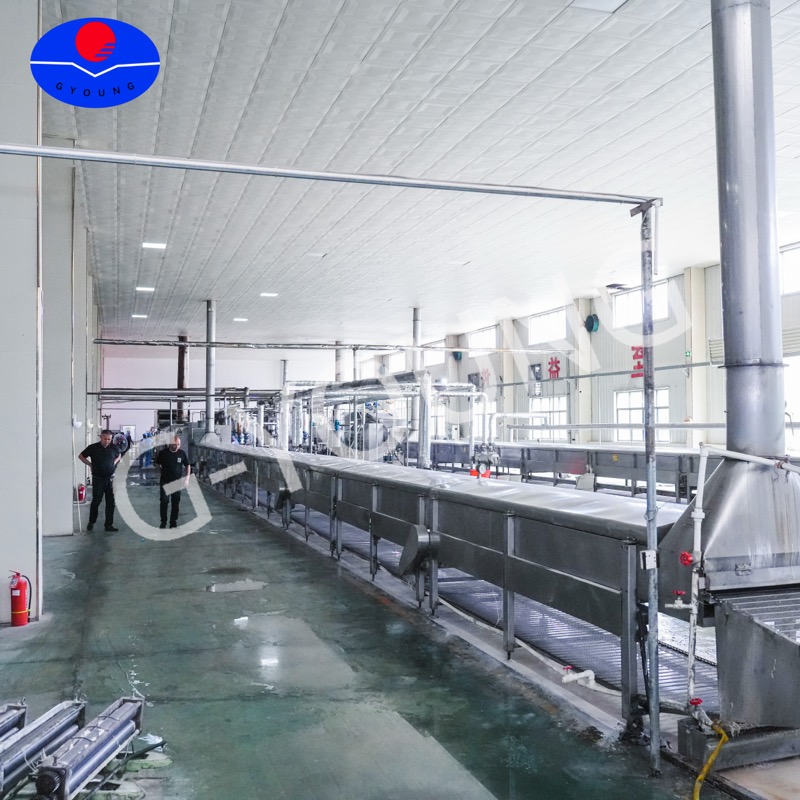 Continuous steamer section